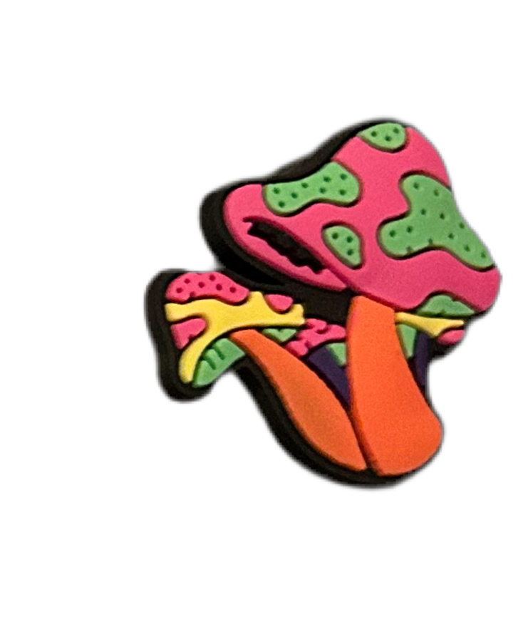 Magic mushroom shoe charms
