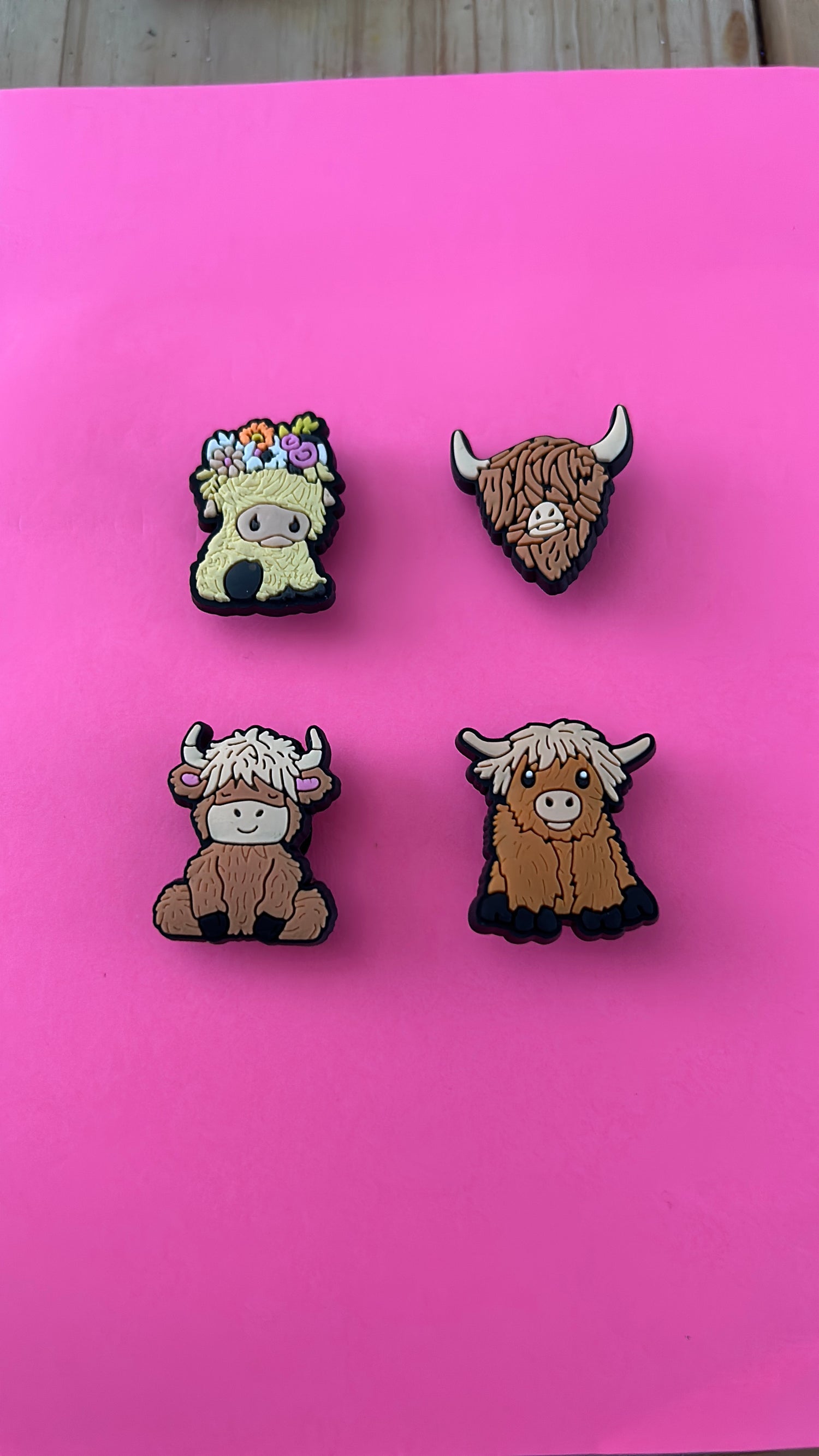 4 pack themed croc charms